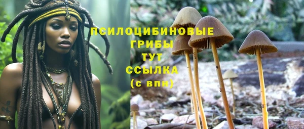 mdma Коряжма