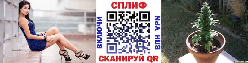 Купить  Тобольск  МАРИХУАНА сатива 
